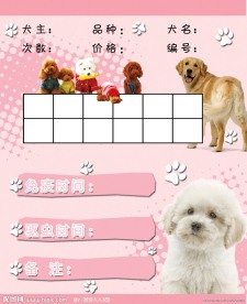 宠物店贵宾卡 金毛