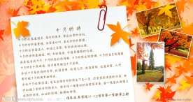 大学展板