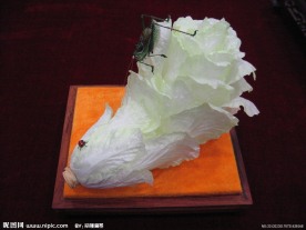 蝈蝈白菜(非高清)