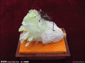 蝈蝈白菜(非高清)