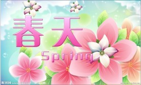 春节促销