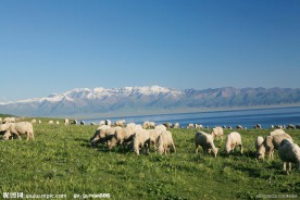 新疆赛里木湖风景