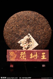 普洱茶