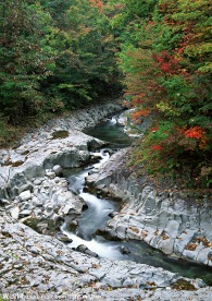 小溪流水