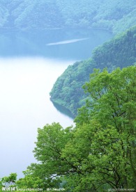 高山树林河水