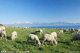 新疆赛里木湖风景