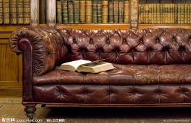 古典书架和沙发