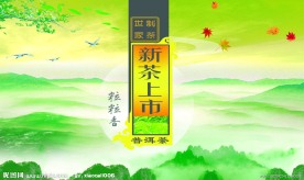 新茶上市
