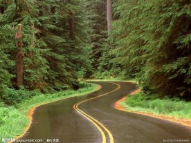 森林道路