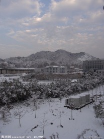 雪雪