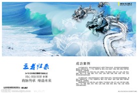 王者归来成功案例企业宣传画册
