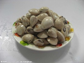白甲螺