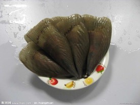 扇贝