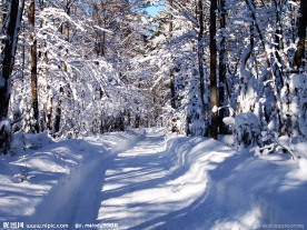 冬季原野大雪