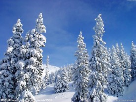 冬季原野大雪