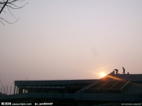 夕阳 忙碌