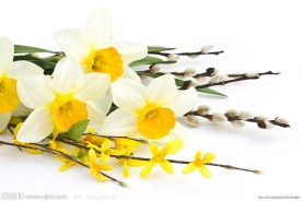 水仙花