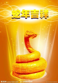 蛇年
