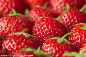草莓