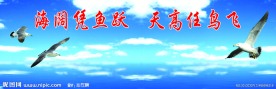 学校背景墙 制度展板