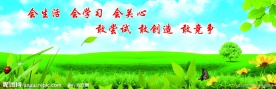 学校背景墙 学校展板