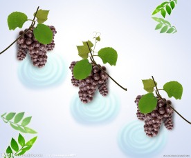 葡萄