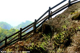 山梯 山路(非高清)