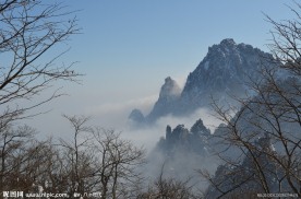 黄山云雾