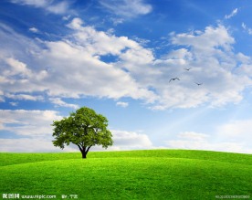 蓝天白云绿野孤树