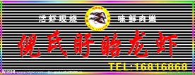 龙虾广告
