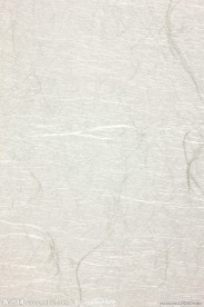 纸纹