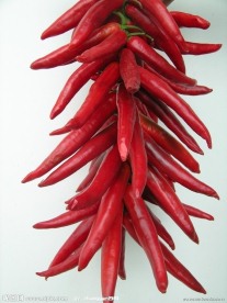 红辣椒