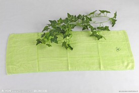 竹纤维毛巾