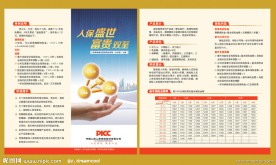 PICC中国人寿盛世富贵