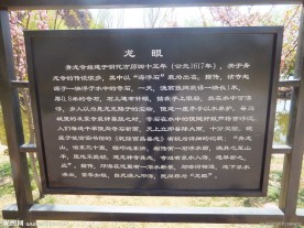 龙眼传说