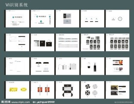 VI识别系统