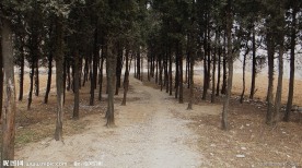 通向柏林的路