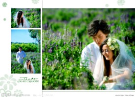 婚庆模版