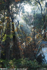 岳麓山