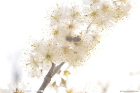 暖春