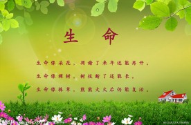 绿色背景素材