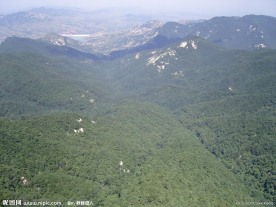 山景