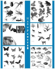 鸟兽昆虫森林动物海洋生物等PS笔刷