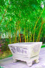 马厩