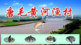 黄河渔村