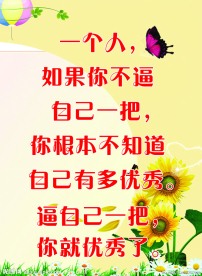 学校宣传栏展板