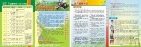 远大教育宣传单