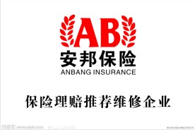 安邦保险钛金牌弧型