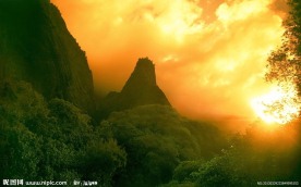 山峰 树林