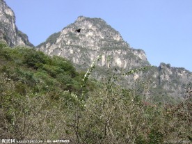 西沟风景